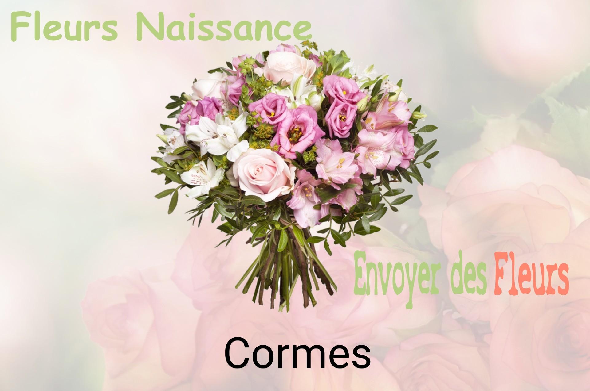 Bouquet de fleurs de naissance livré à Cormes